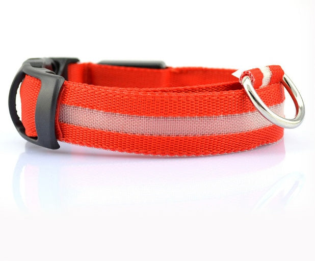 Collier Lumineux – Baroudog® TrailGlow Flash