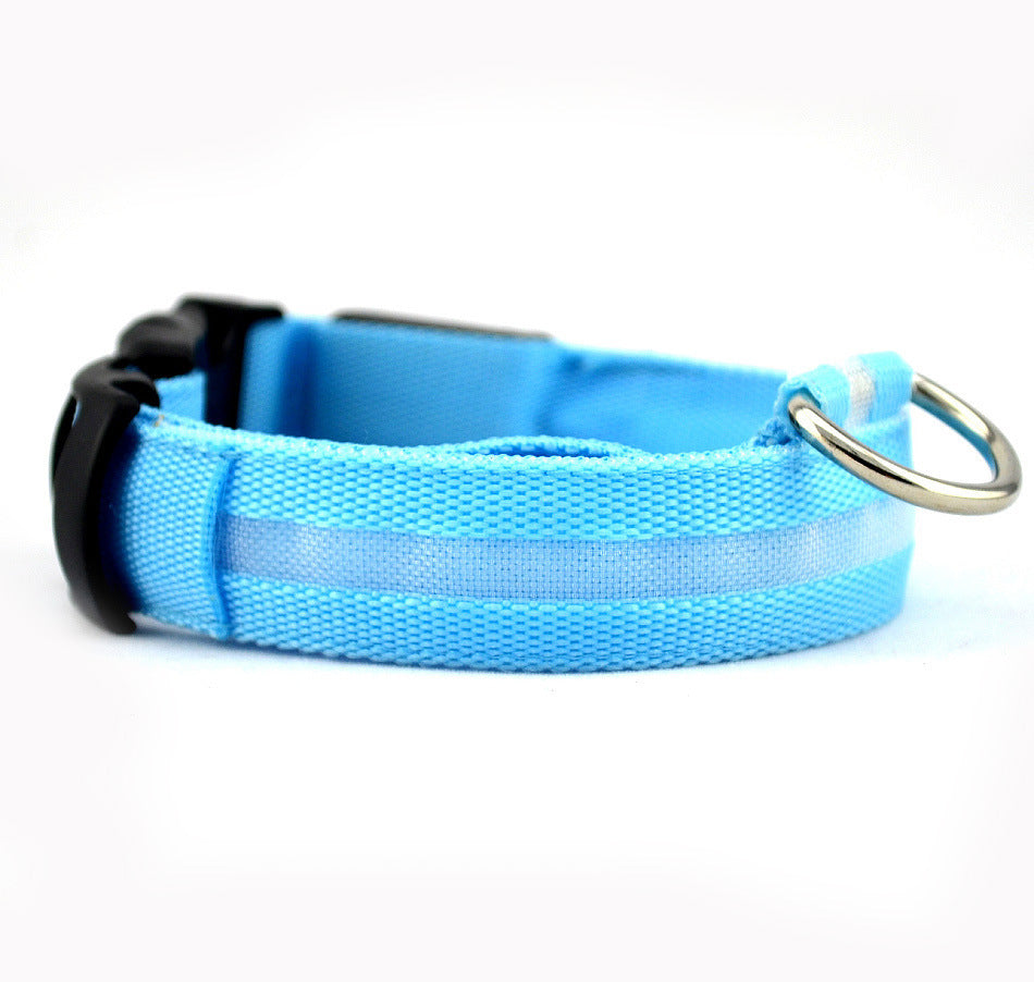 Collier Lumineux – Baroudog® TrailGlow Flash