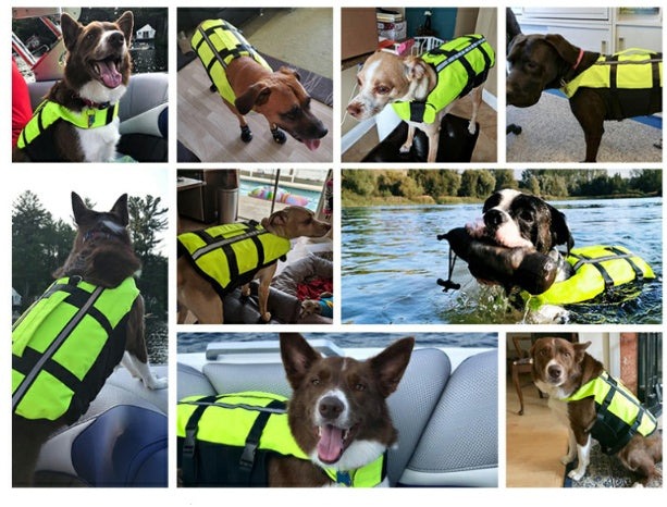 Gilet de Sauvetage – Baroudog® NautiSafe Air