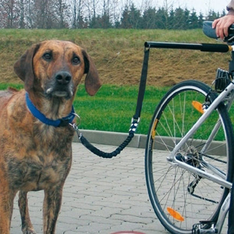 Laisse Vélo pour Chien – Baroudog® Bike débutant