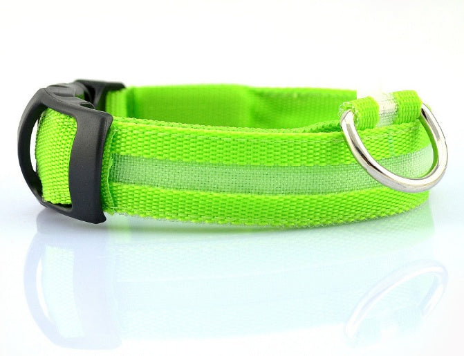 Collier Lumineux – Baroudog® TrailGlow Flash
