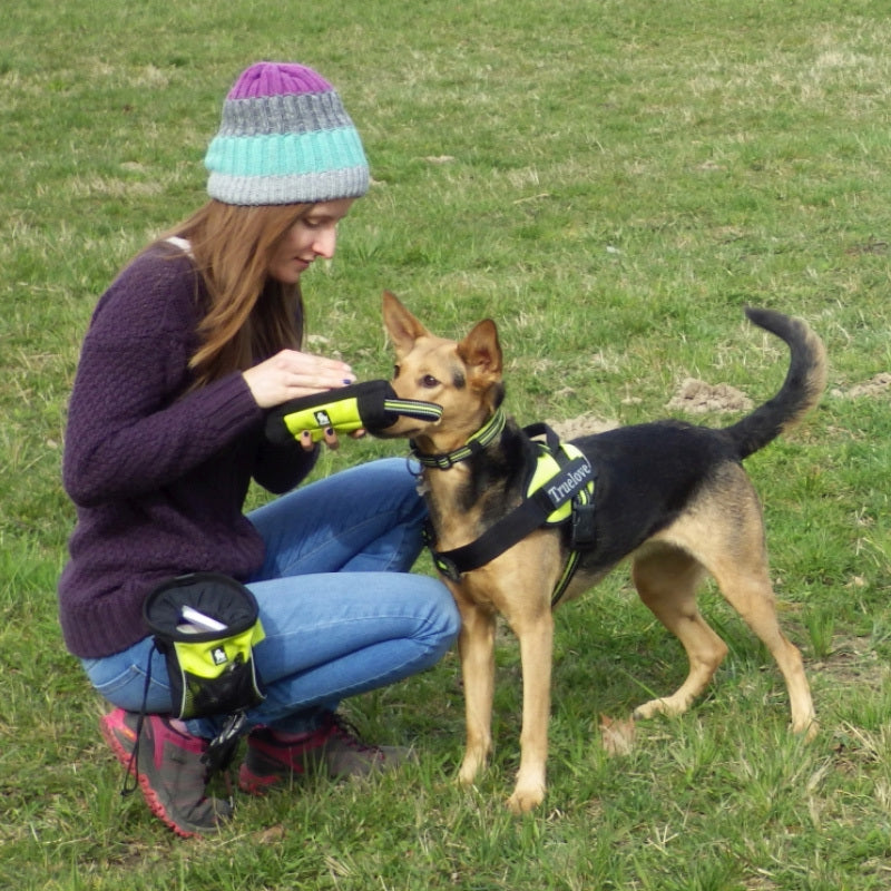 Ceinture de Dressage Grande Capacité – Baroudog® BeltTrainer
