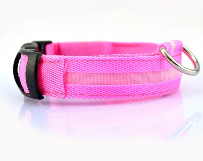 Collier Lumineux – Baroudog® TrailGlow Flash