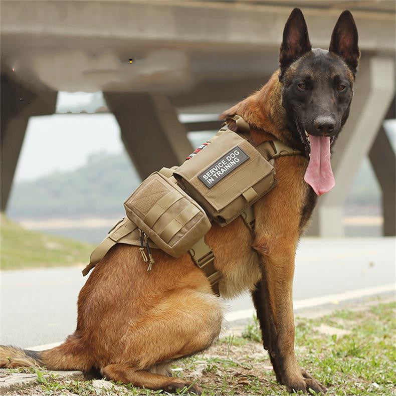 Harnais Tactique – Baroudog® VestPro