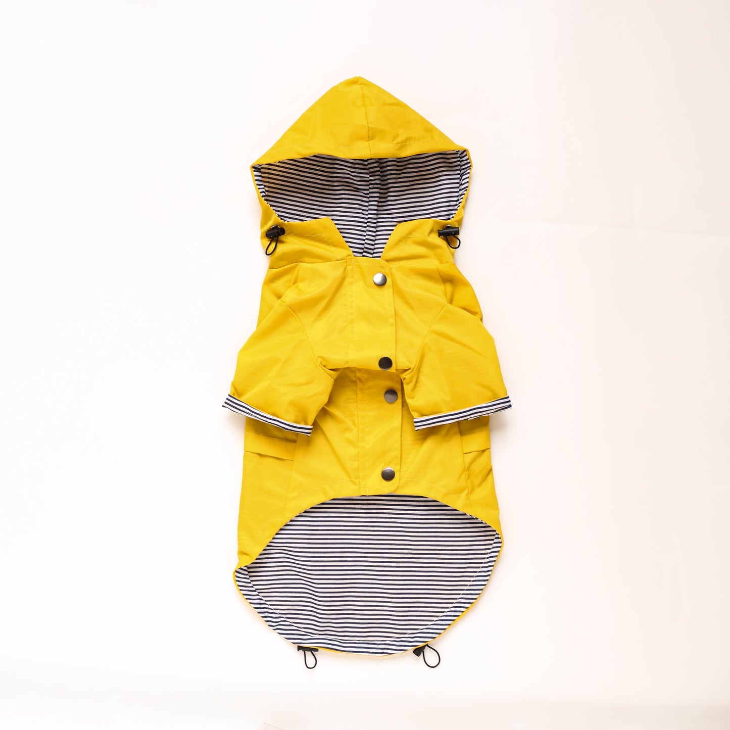 Ciré Jaune pour Chien – Baroudog® BreizhCover