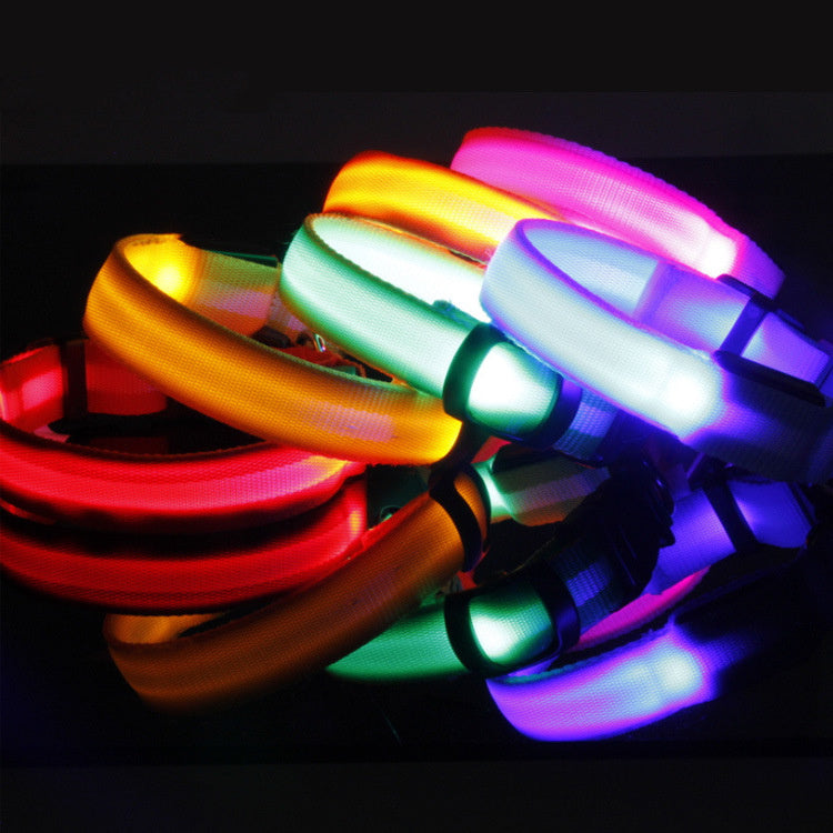 Collier Lumineux – Baroudog® TrailGlow Flash