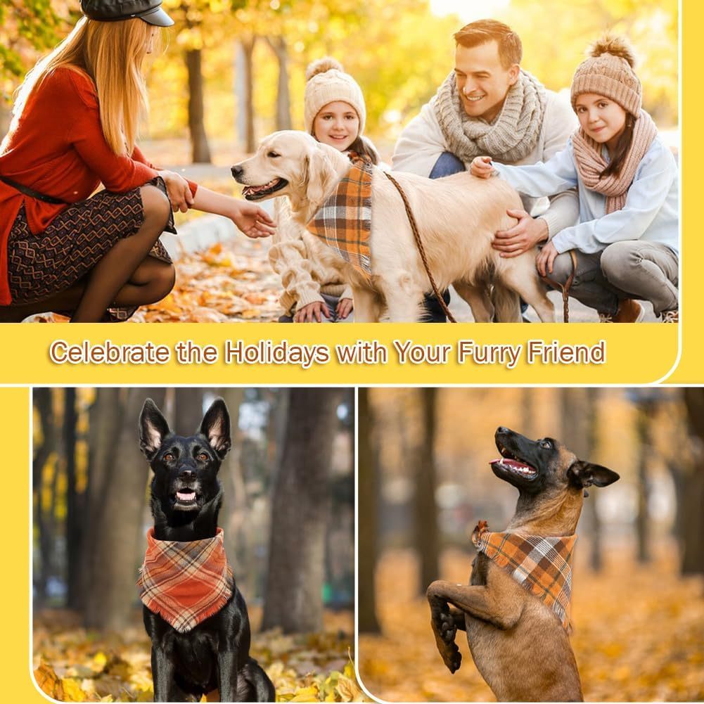 Bandana Automnal pour Chien – Baroudog® FallSpirit Tartan
