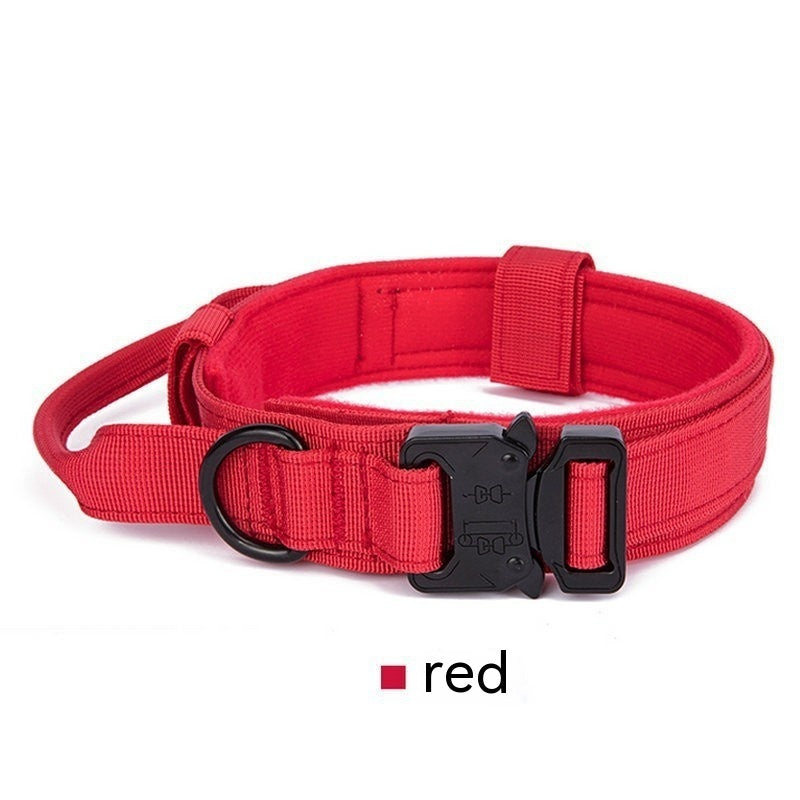 Collier de randonnée – Baroudog® TrailGear
