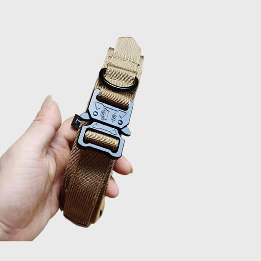 Collier de randonnée – Baroudog® TrailGear