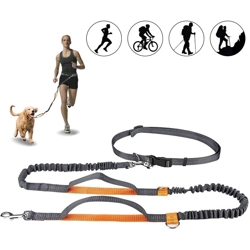 Laisse canicross débutant – Baroudog® TrailLine