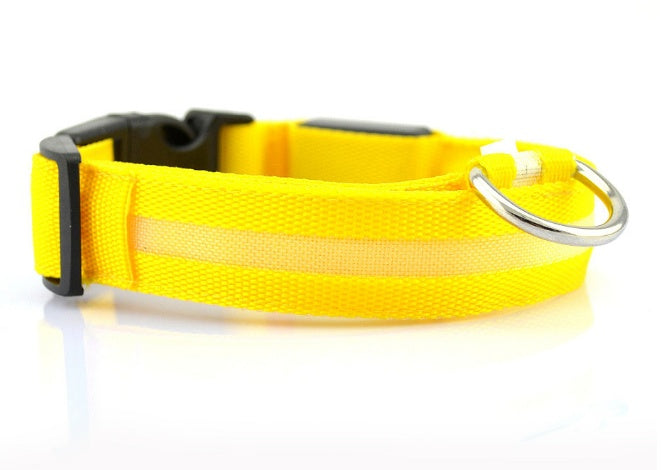 Collier Lumineux – Baroudog® TrailGlow Flash