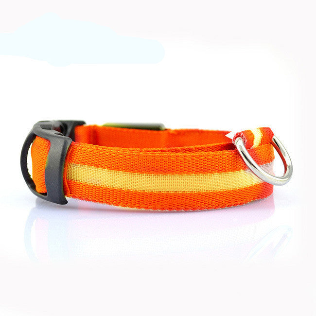 Collier Lumineux – Baroudog® TrailGlow Flash