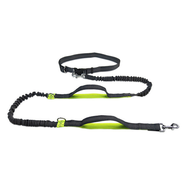 Laisse canicross débutant – Baroudog® TrailLine