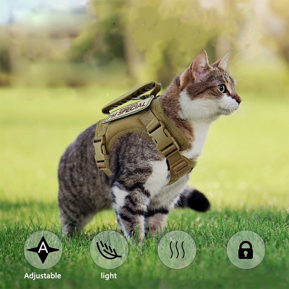 Harnais Rando Mini – Baroudog® StealthStrap Mini