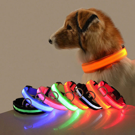 Collier Lumineux – Baroudog® TrailGlow Flash
