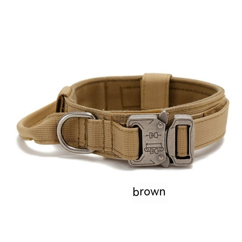 Collier de randonnée – Baroudog® TrailGear