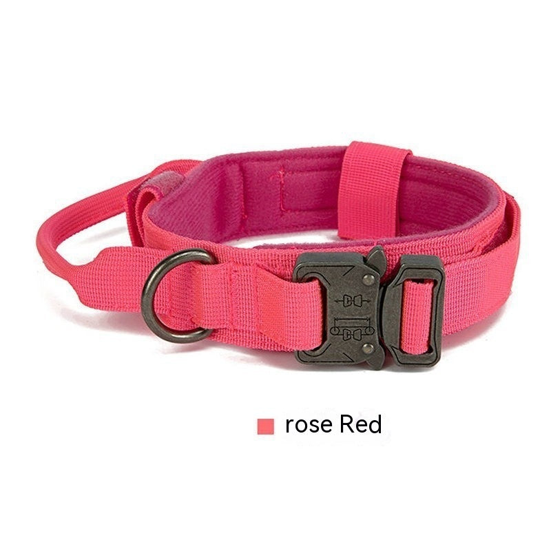 Collier de randonnée – Baroudog® TrailGear