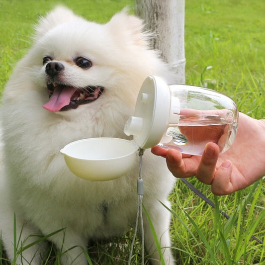 Gourde Compacte Baroudog® Mini