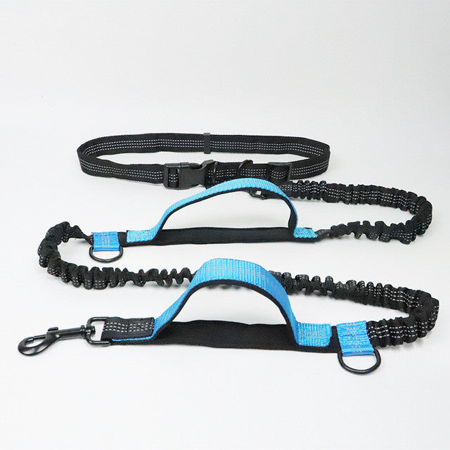 Laisse canicross débutant – Baroudog® TrailLine
