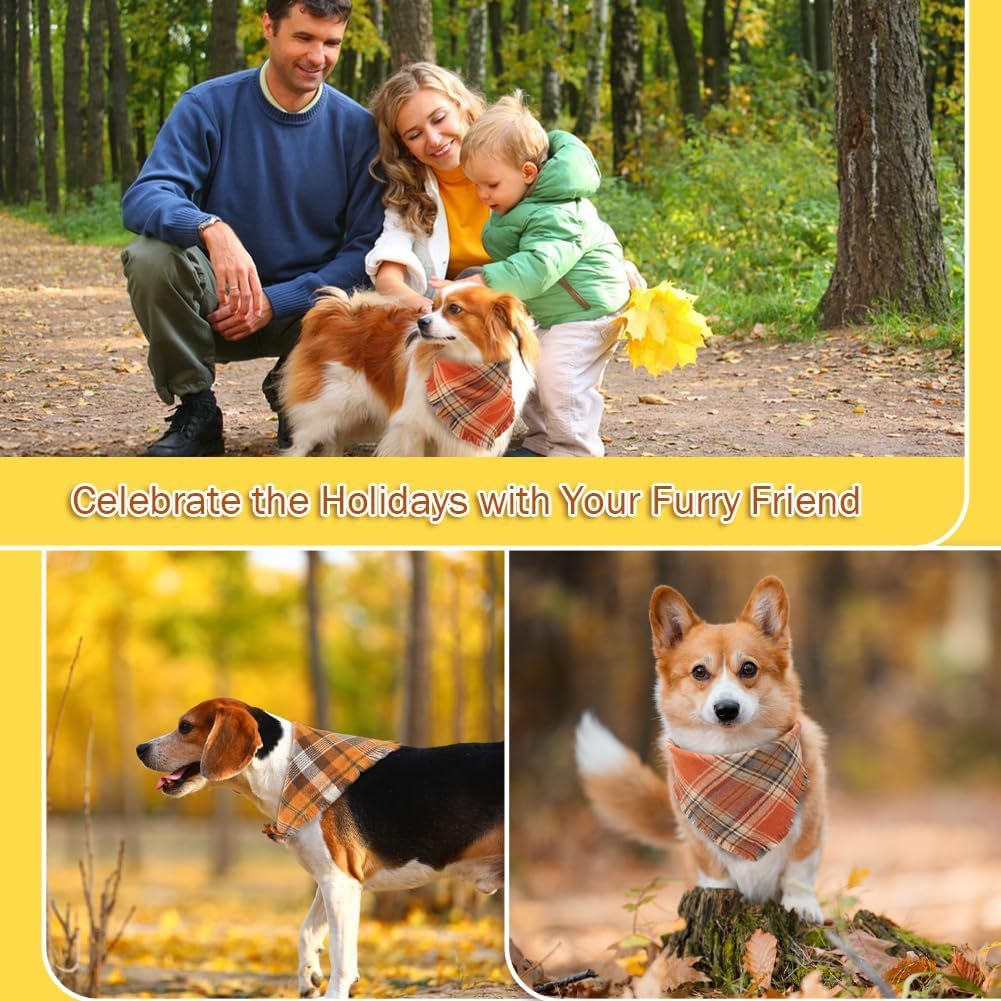 Bandana Automnal pour Chien – Baroudog® FallSpirit Tartan