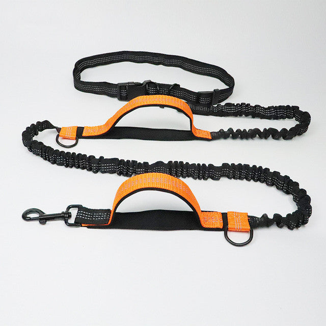 Laisse canicross débutant – Baroudog® TrailLine