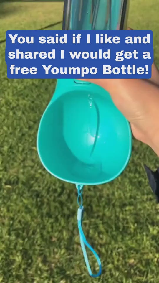1.mp4